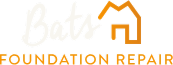 Bats Foundation Repair