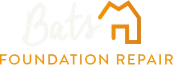 Bats Foundation Repair